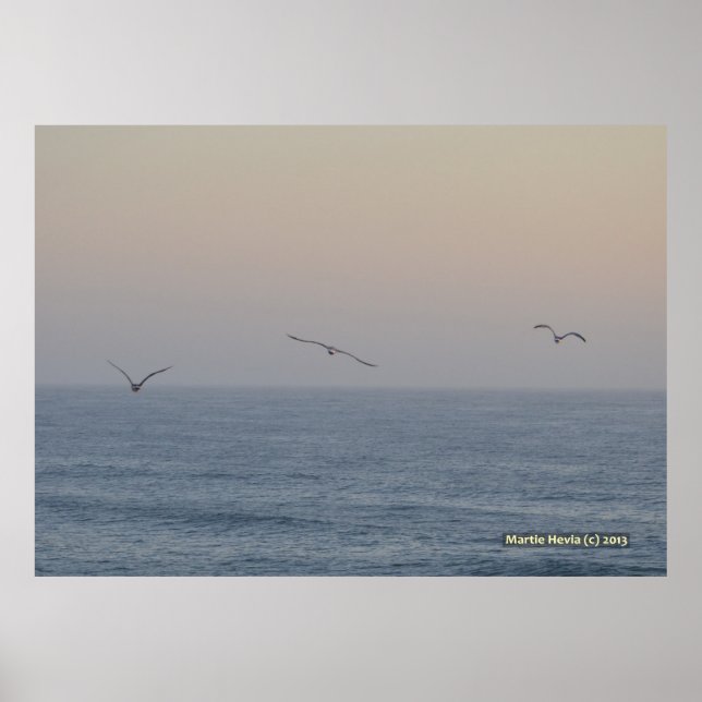 Affiche Trois mouettes (Devant)