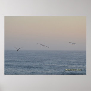 Affiche Trois mouettes