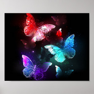 Affiche Trois papillons lumineux sur fond de nuit