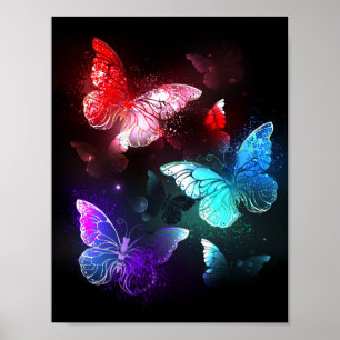 Affiche Trois papillons lumineux sur fond de nuit