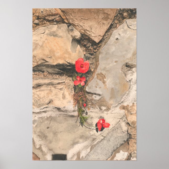 Affiche Trois pavois (Devant)