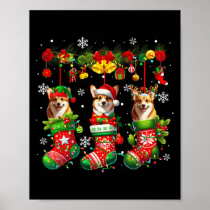 Affiche Trois Père Noël Elf Corgis dans Xmas Chaussettes P