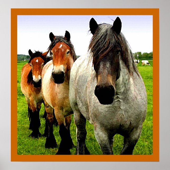 Affiche Trois Ponts (Devant)