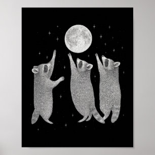 Affiche Trois Raccoons Et Moon Vintage Raccoon Mème Hallo