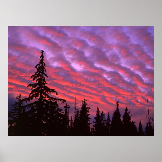 Affiche Trois Soeurs Wilderness, Oregon (Devant)