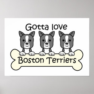 Affiche Trois terriers de Boston