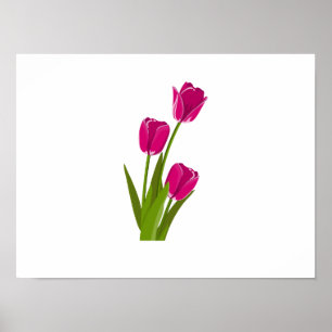 Affiche Trois Tulipes roses se tournant vers l'affiche dro