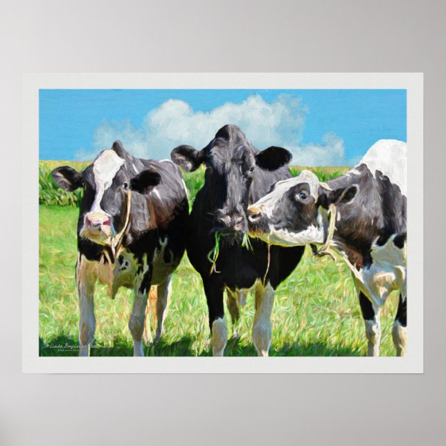 Affiche Trois vaches Holstein (Devant)
