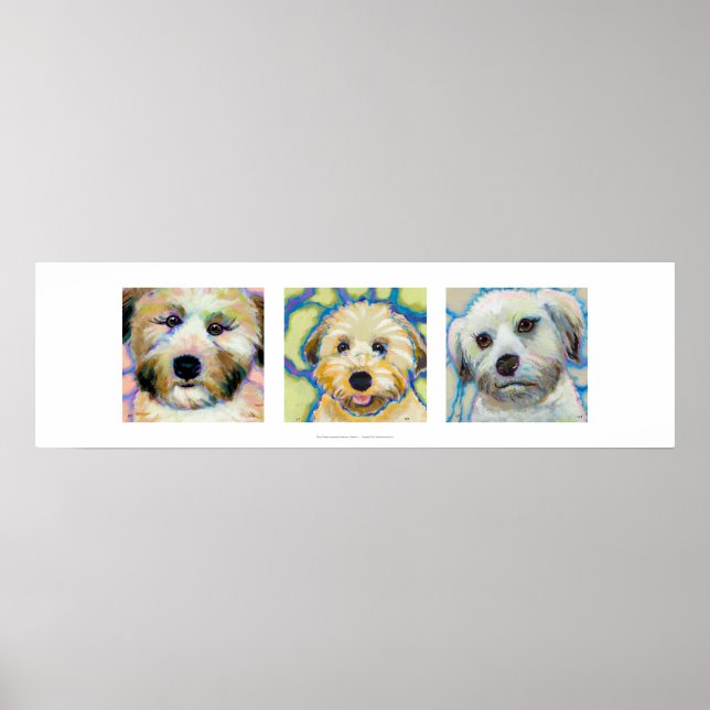 Affiche Trois Wheaten Terrier peintures amusant chien art  (Devant)