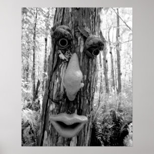 Affiche Troll d'arbre sur un grand cyprès.