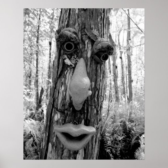 Affiche Troll d'arbre sur un grand cyprès. (Devant)