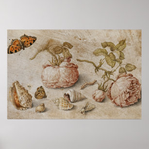 Affiche Trompe l'oeil Still Life - Jan van Kessel l'Ancien