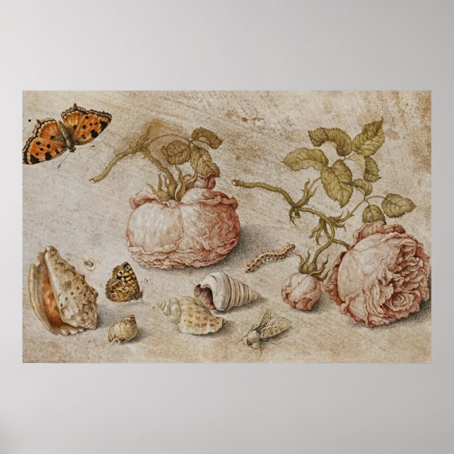 Affiche Trompe l'oeil Still Life - Jan van Kessel l'Ancien (Devant)