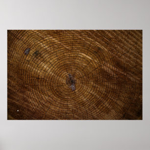 Affiche tronc d'arbre Brown
