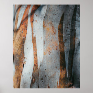 Affiche tronc d'arbre Brown et gris