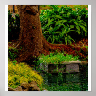 Affiche Tronc et Eau