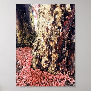 Affiche troncs d'arbre