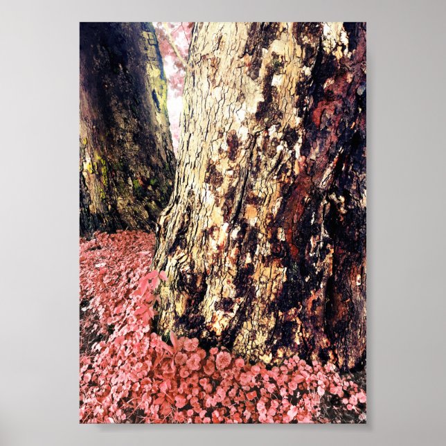 Affiche troncs d'arbre (Devant)