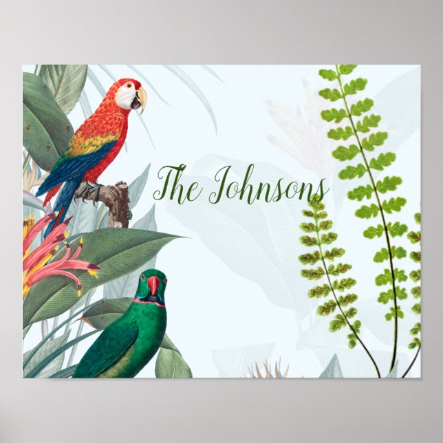 Affiche Tropical Birds Parrots & Foliage  (Devant)