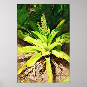 Affiche Tropical Bromeliad - walk in the garden