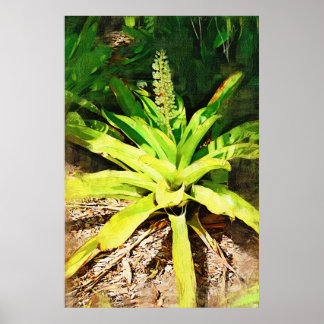 Affiche Tropical Bromeliad - walk in the garden