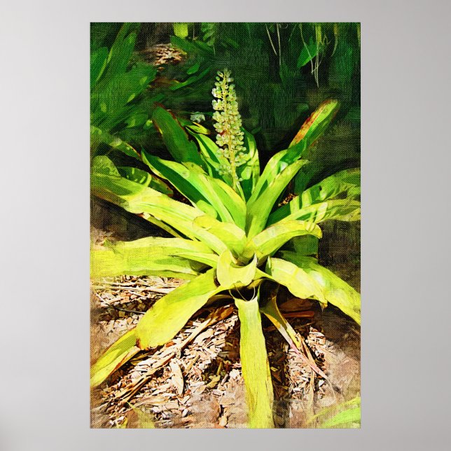 Affiche Tropical Bromeliad - walk in the garden (Devant)
