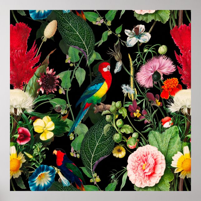 Affiche Tropical, fleurs exotiques, oiseaux, perroquets, a (Devant)