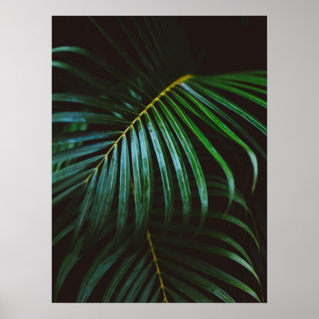 Affiche Tropical Palm Leaf Green Relaxant méditatif (Devant)