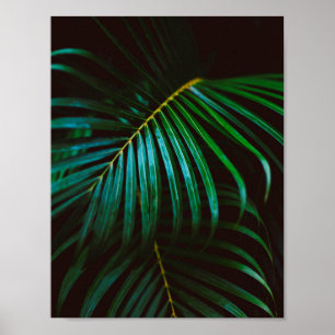Affiche Tropical Palm Leaf Green Relaxant méditatif