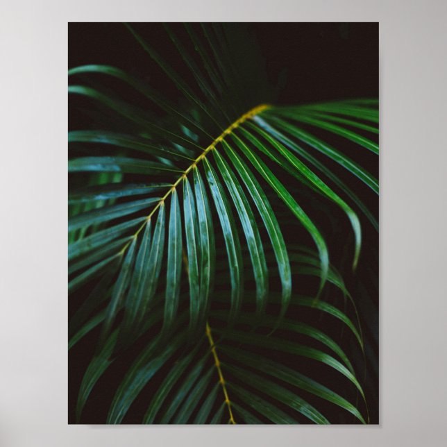 Affiche Tropical Palm Leaf Green Relaxant méditatif (Devant)