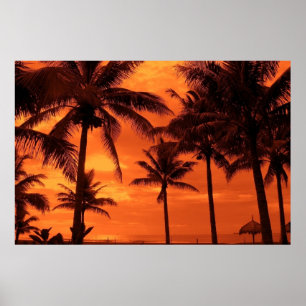 Affiche Tropical Sunset Summer Design Palm Trees Landscape