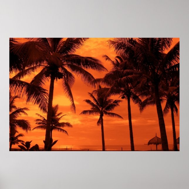 Affiche Tropical Sunset Summer Design Palm Trees Landscape (Devant)