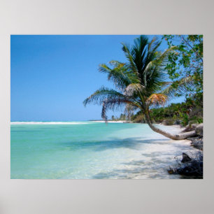 affiche tropicale de ciel de plage de 8,60