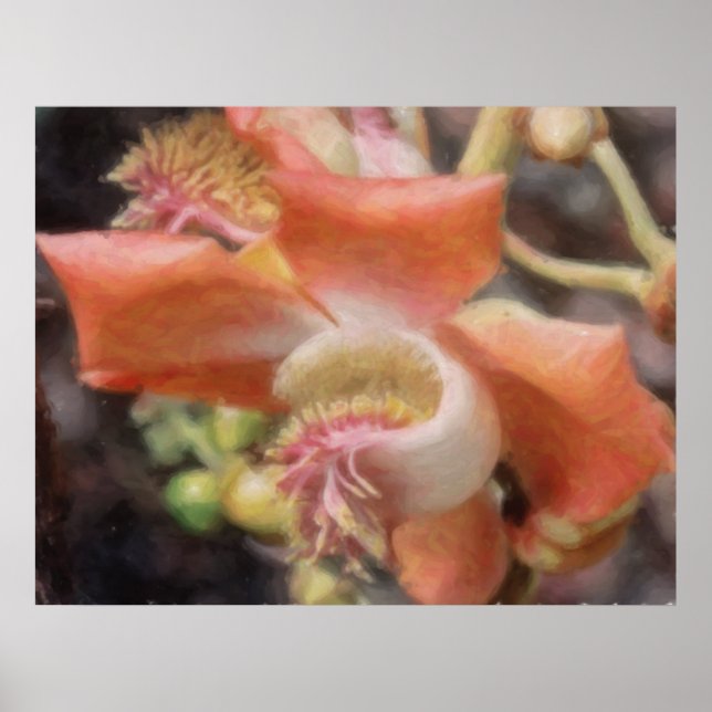 Affiche tropicale hawaïenne de fleur (Devant)