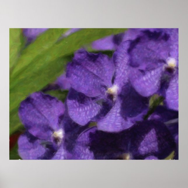 Affiche tropicale hawaïenne d'orchidée (Devant)