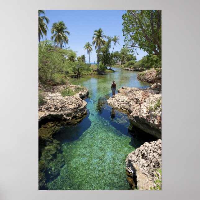 Affiche Trou de l'Alligator, ville de Black River, Jamaïqu (Devant)