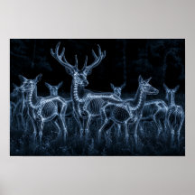 Troupeau de cerfs Nuit X-Ray