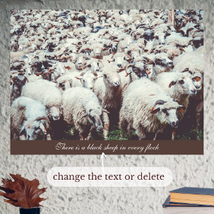 Affiche Troupeau de moutons blancs et noirs