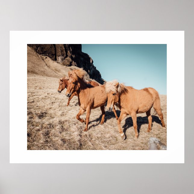 Affiche Troupeau de poneys sauvages (Devant)