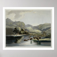 Troupeaux de bisons et d'élans sur le Missouri sup