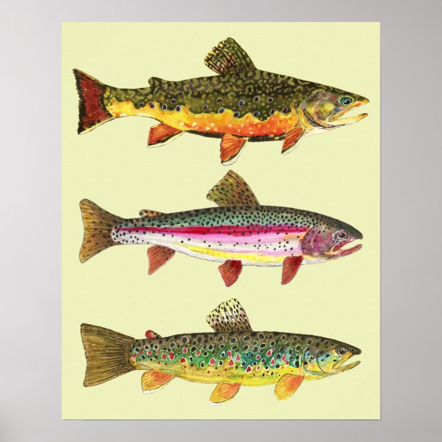 Affiche Trout fishing (Devant)