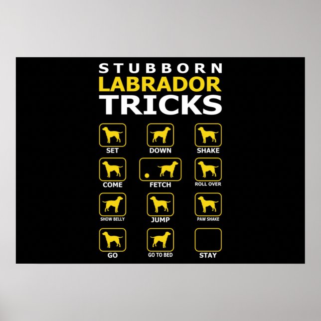 Affiche Trucs de chiens du Labrador têtus Drôle (Devant)