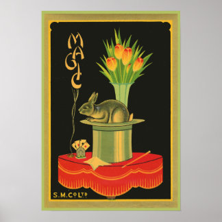Affiche Trucs magiques
