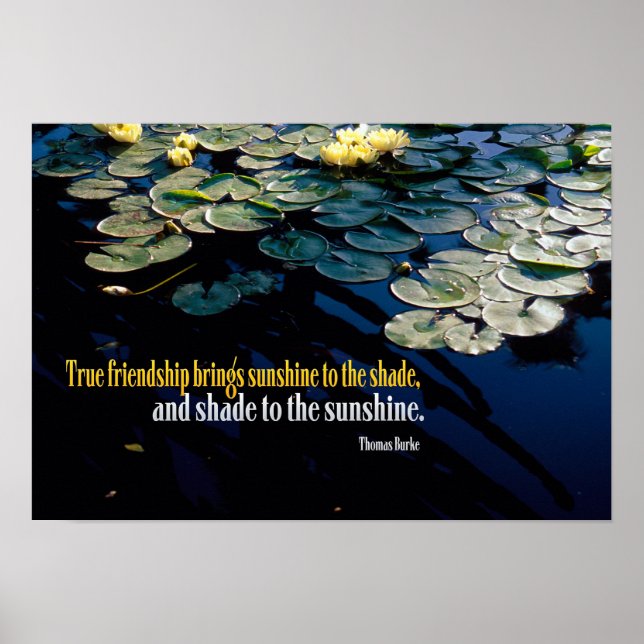 Affiche True Friendship (Devant)