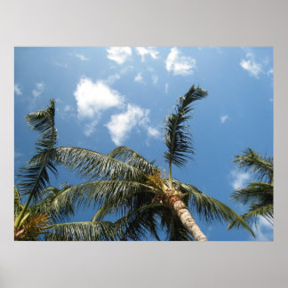 Affiche True Relaxation