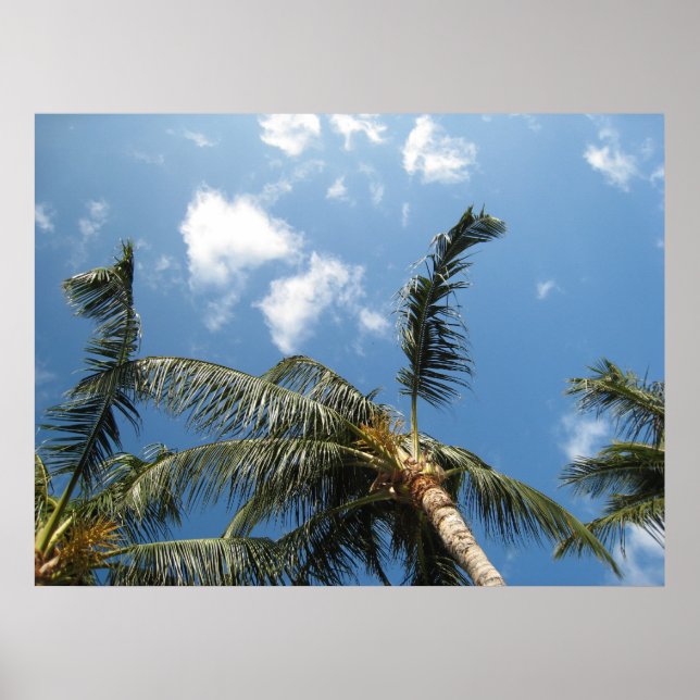 Affiche True Relaxation (Devant)