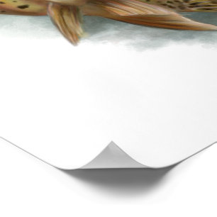 Affiche Truite à gorge jaune