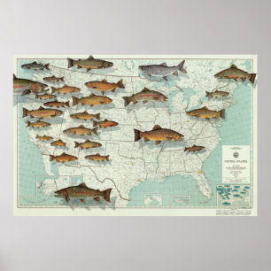 Affiche Truite Map (1999) des Etats-Unis