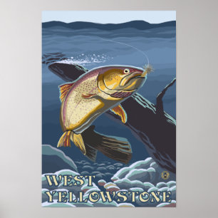 Affiche Truite pêchant la section transversale -