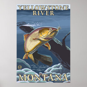 Affiche Truite pêchant la section transversale 3